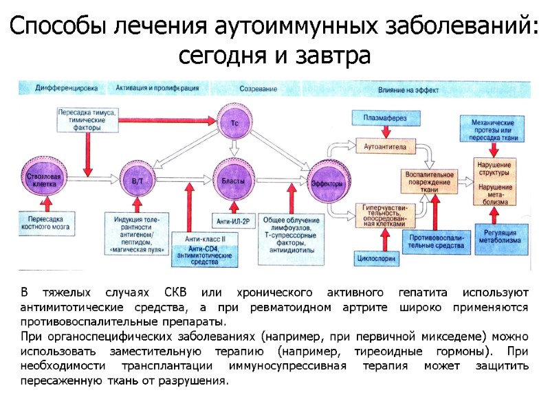 В тяжелых случаях СКВ или хронического активного гепатита используют антимитотические средства, а при ревматоидном